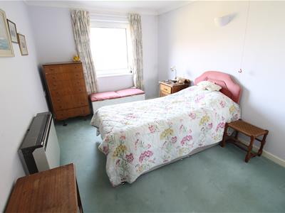 Picture 8
